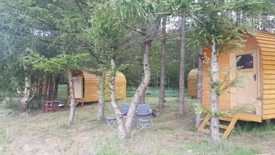 Ein Garten an der Unterkunft Glamping Pod im Wald