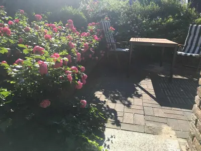 Ein Garten an der Unterkunft Ferienhaus am Meer