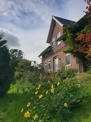 Ein Garten an der Unterkunft Ferienwohnung Medemgarten