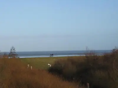 Naturlandschaft in der Nähe der Ferienwohnung
