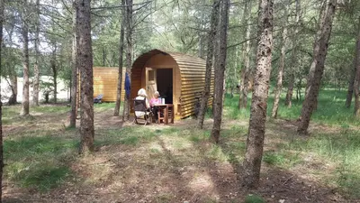 Gäste, die in der Unterkunft Glamping Pod im Wald mit Hund übernachten