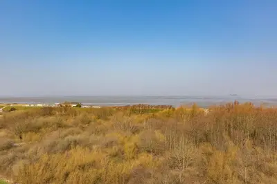 Naturlandschaft in der Nähe der Ferienwohnung