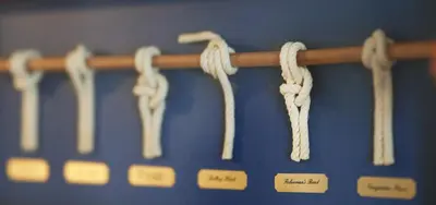Grundriss der Unterkunft Am Ringwall 91 - Seelöwe B