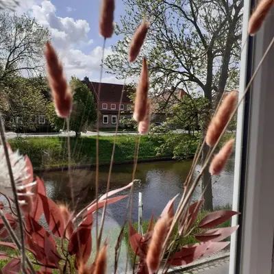 Ein Garten an der Unterkunft Bi uns im Norden