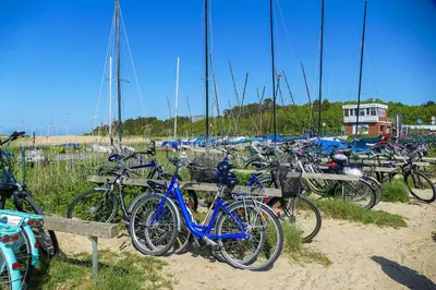 Radfahren an der Unterkunft Am Sahlenburger Strand AS32 oder in der Nähe