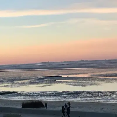 Nautilus
