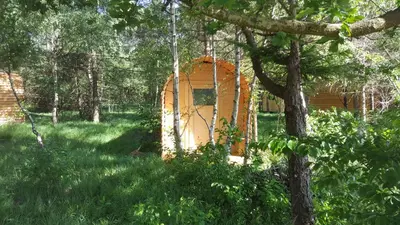 Ein Garten an der Unterkunft Glamping Pod im Wald mit Einzelbetten