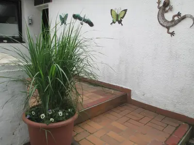 Ein Garten an der Unterkunft Haus Hachtmann
