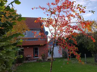 Ein Garten an der Unterkunft Ferienhaus Auszeit