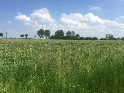 Naturlandschaft in der Nähe des Ferienhauses