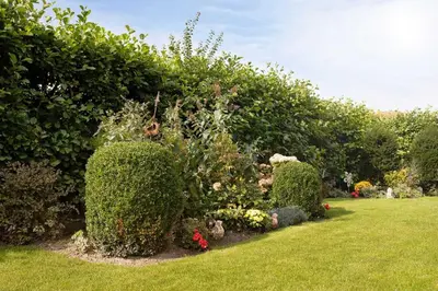 Ein Garten an der Unterkunft Ferienhaus Britschock mit eingezäuntem Garten und Sauna